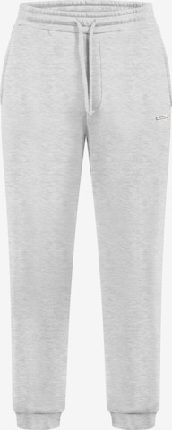 Smilodox Pants in Grey: front