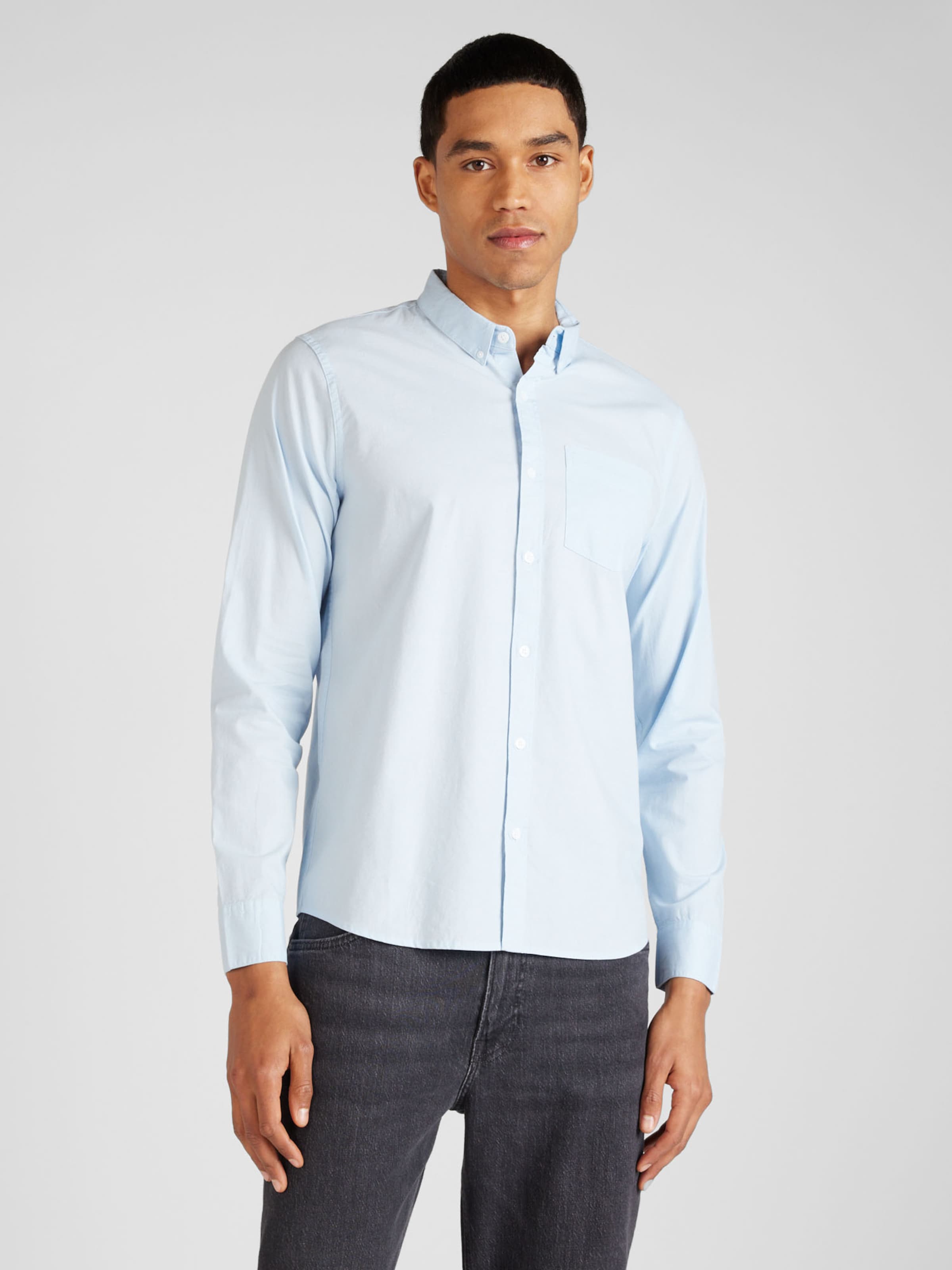 Hollister light blue shirt sale