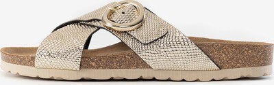 Bayton Mules in Gold, Item view