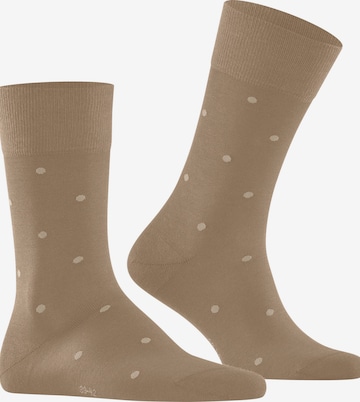 FALKE Socks 'Dot' in Beige: front