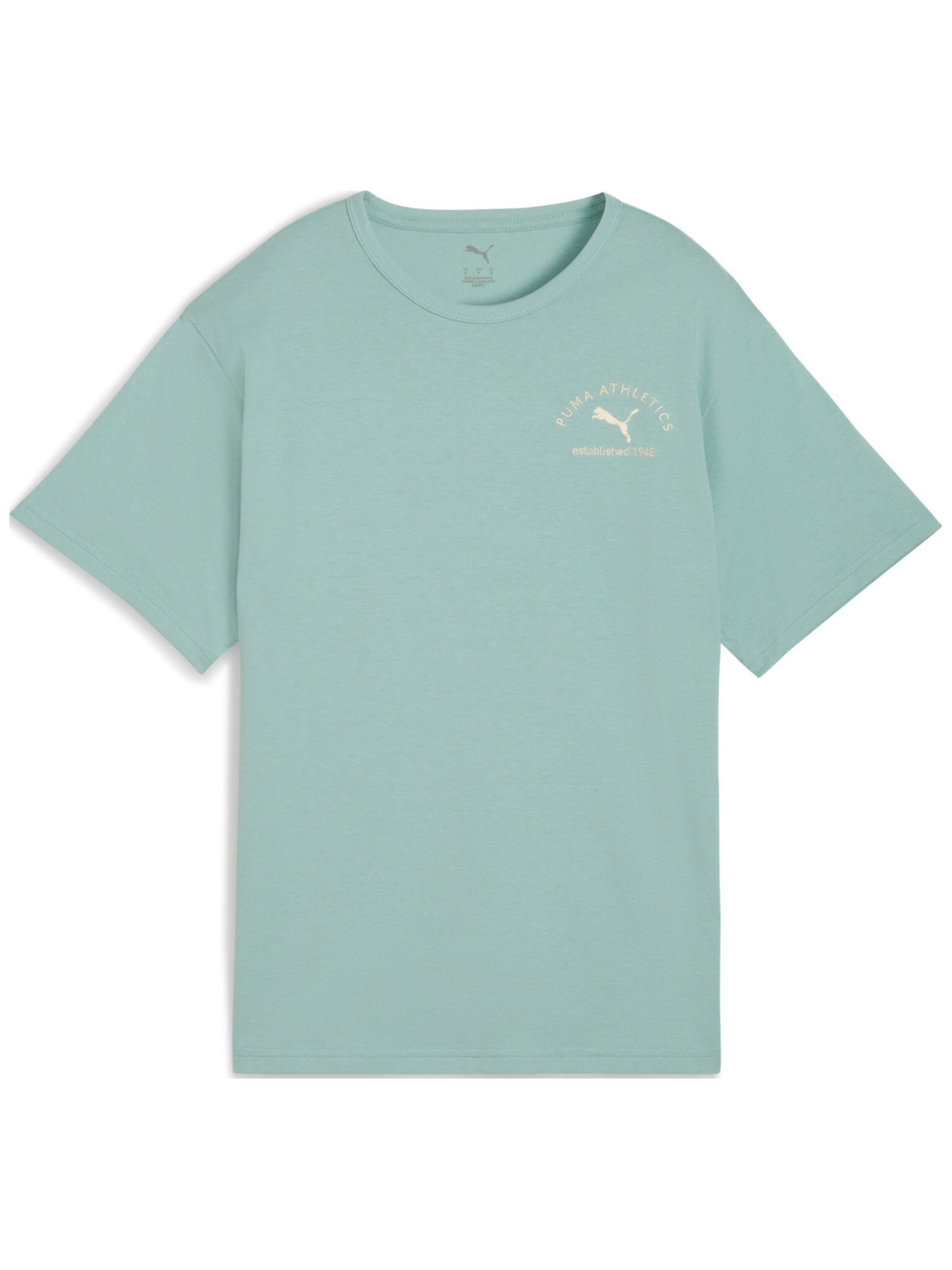 PUMA - Camiseta 'Puma Class Relaxed Tee Light Moss' en azul