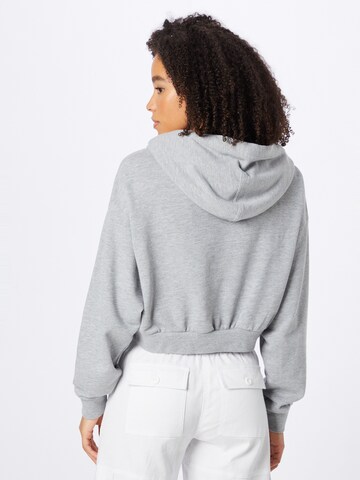 LEVI'S ® Суичър 'Graphic Laundry Hoodie' в сиво