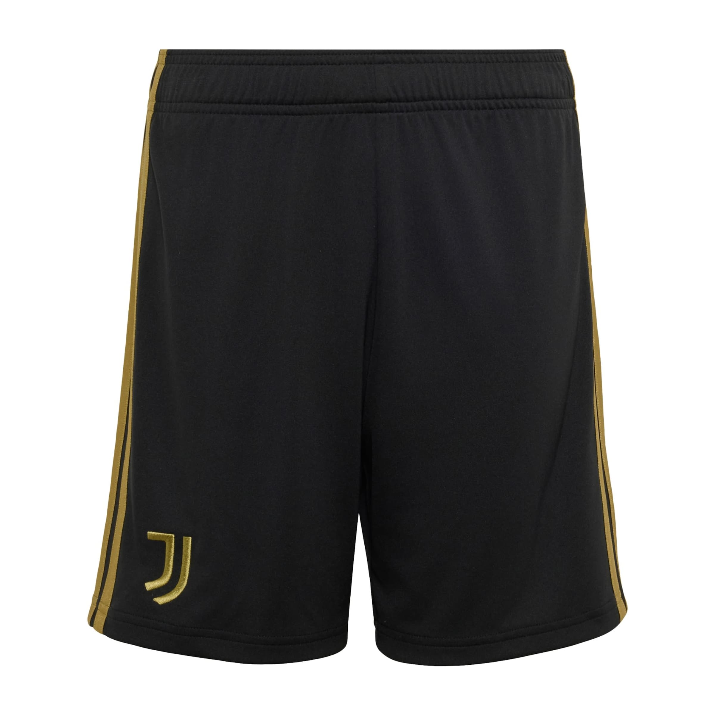 Regular Pantalon de sport 'Juventus Turin 26/27 Thirds' ADIDAS PERFORMANCE en noir : devant