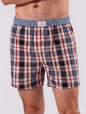 Luca David Boxer shorts ' Karos ' in Mixed colours