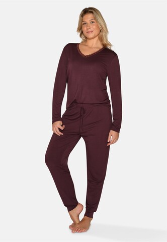 CC DK - Pantalón de pijama 'Johanne' en marrón: frente