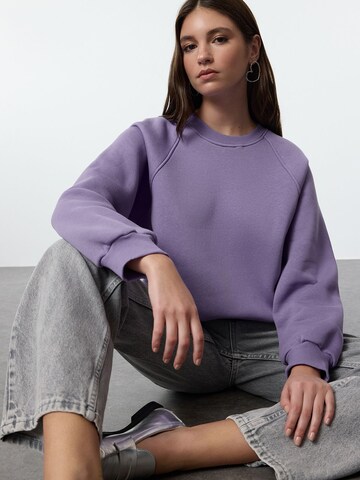 Trendyol Sweatshirt in Lila: Vorderseite