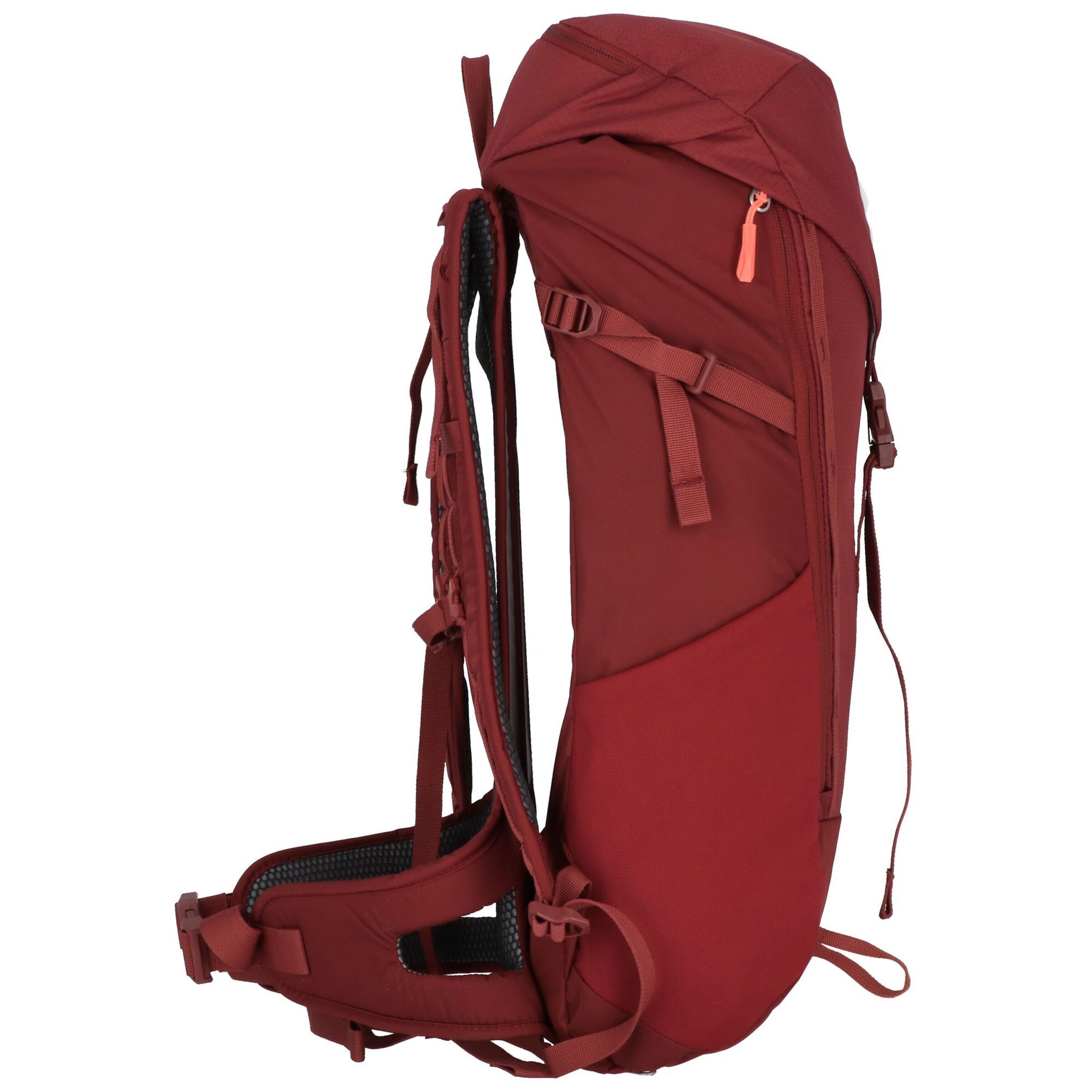 SALEWA Sportrugzak 'Alp Mate' in Rood