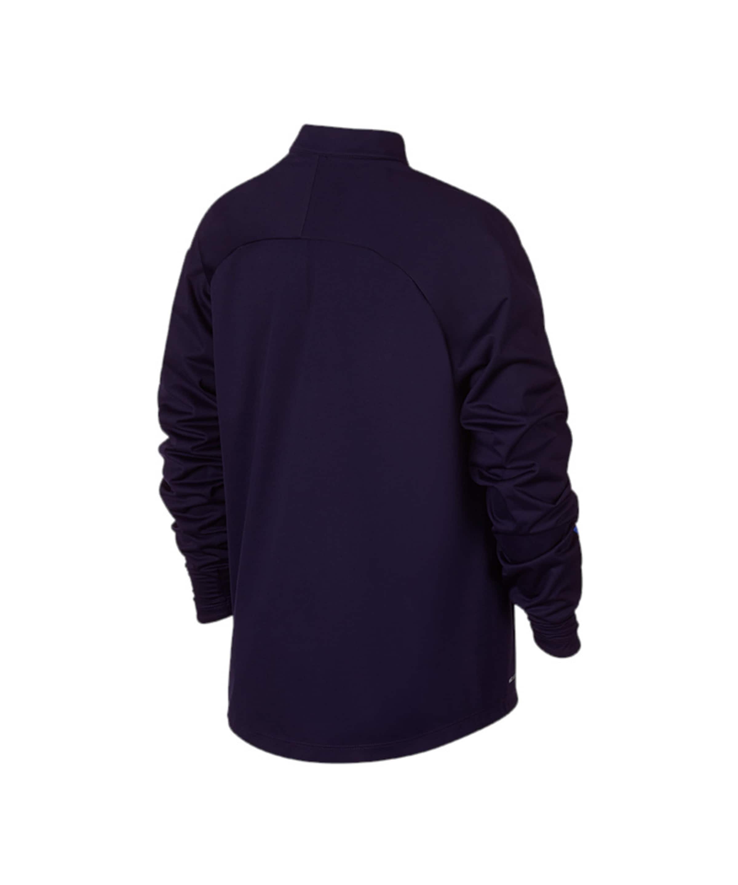 NIKE Спортивный свитшот в Синий