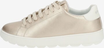 Sneaker bassa di GEOX in oro