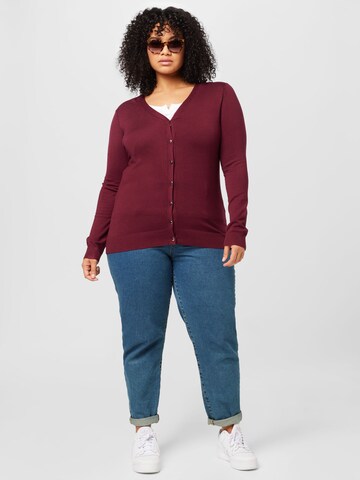 Dorothy Perkins Curve Knit cardigan in Red