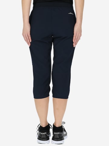 Regular Pantalon de sport SWEDEMOUNT en bleu