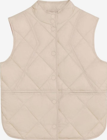 Scalpers Liivi värissä beige: etupuoli