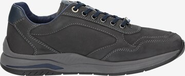 SIOUX Sneakers 'Turibio' in Grey