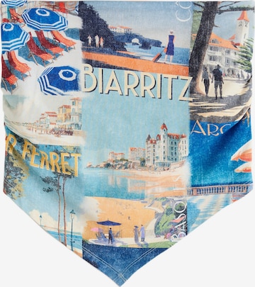 Next Top in Blau: Vorderseite