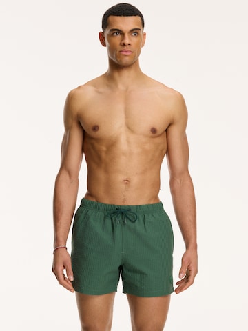 Shorts de bain Shiwi en vert : devant