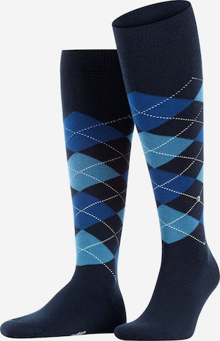 BURLINGTON Knee High Socks in Blue: front