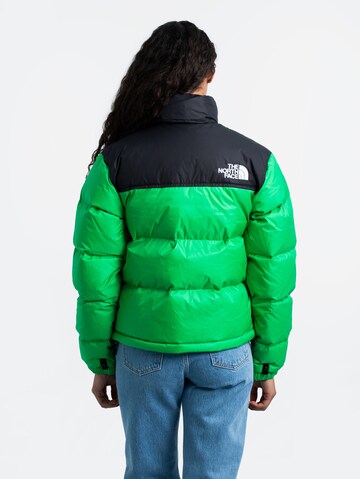 THE NORTH FACE Winter Jacket '1996 Retro Nuptse' in Green