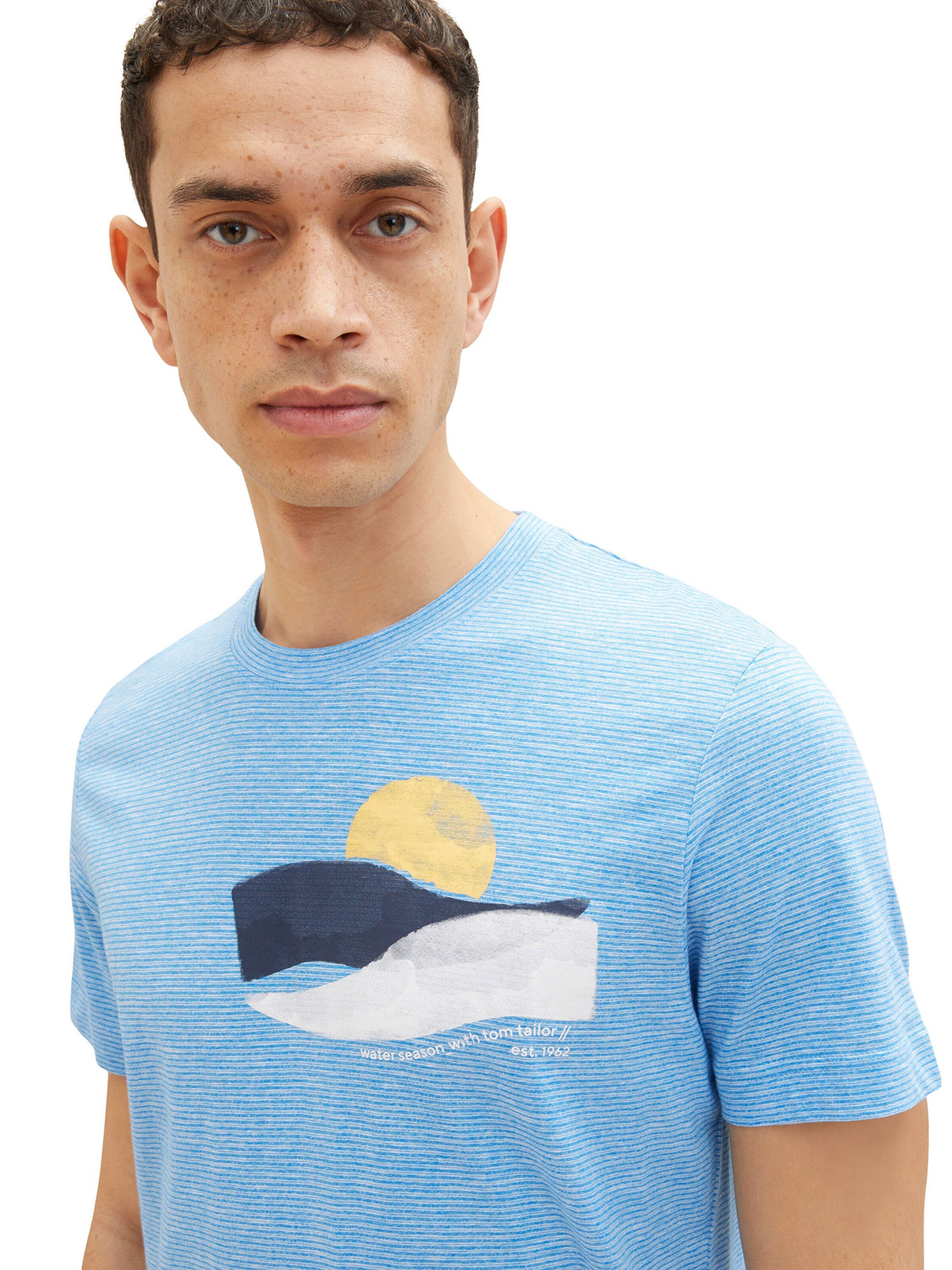 TOM TAILOR Bluser & t-shirts i blå