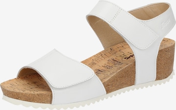 SIOUX Sandals in White: front