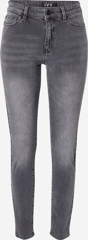 Ivy Copenhagen Skinny Jeans 'Alexa' in Grey: front