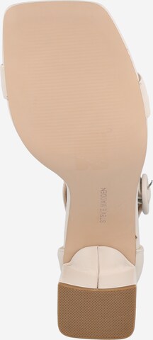 STEVE MADDEN Riemensandale in Beige