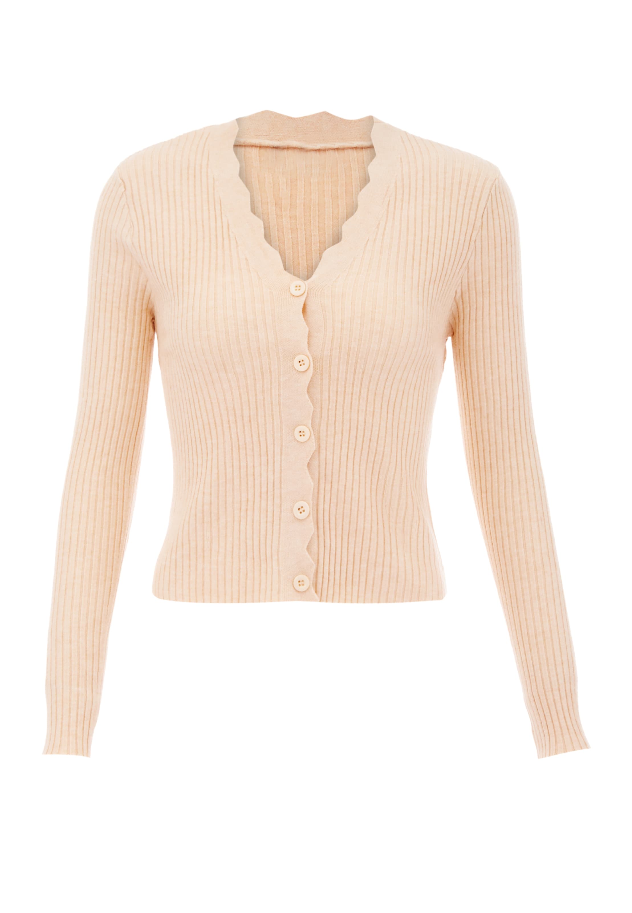 IPARO Gebreid vest in Beige: voorkant