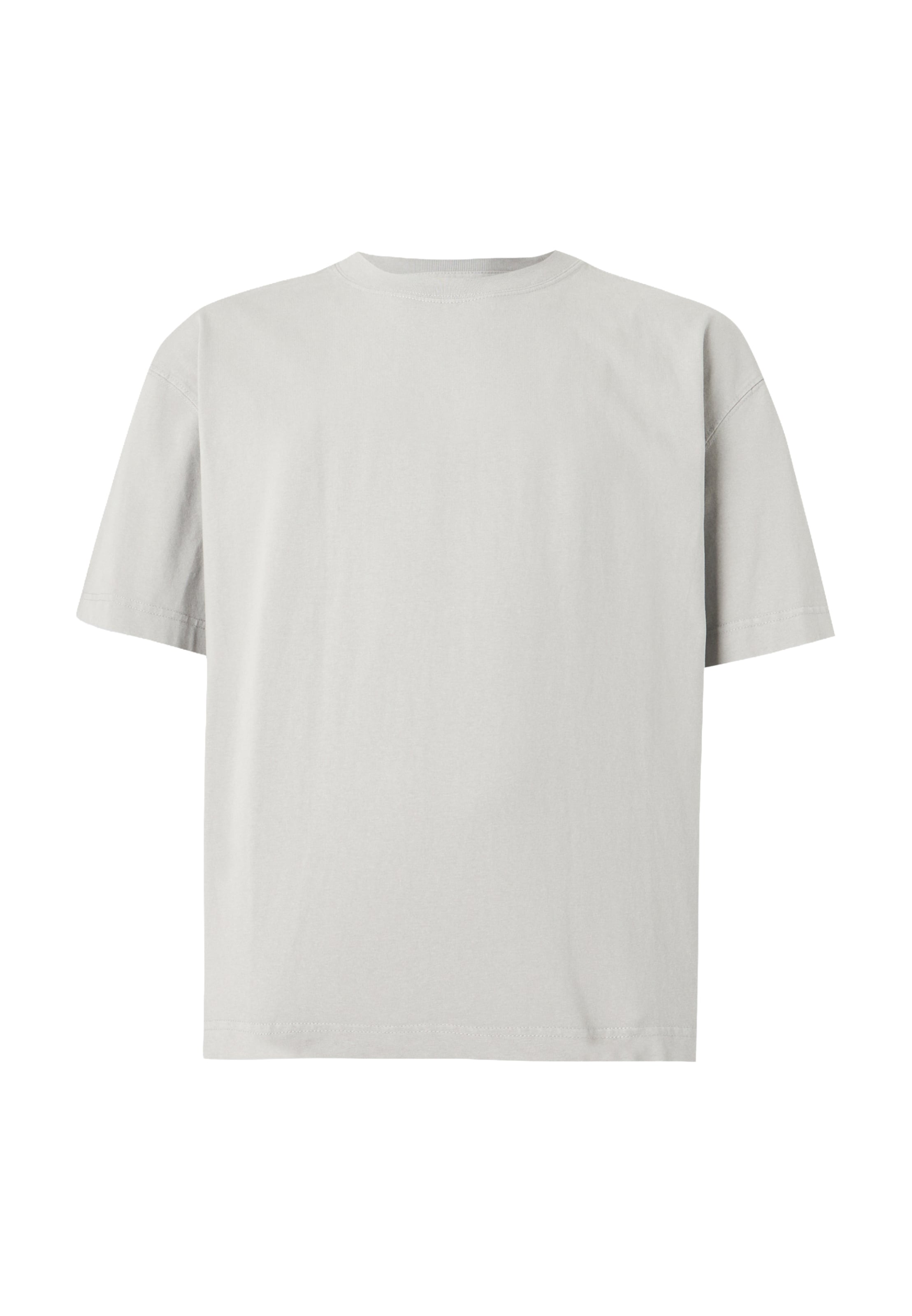 HOLLISTER Μπλουζάκι σε γκρι: μπροστά