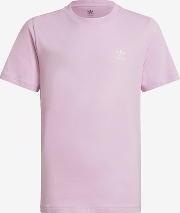 T-Shirt 'Adicolor' ADIDAS ORIGINALS en violet : devant