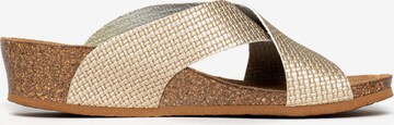 Bayton Mules 'Marta' in Gold