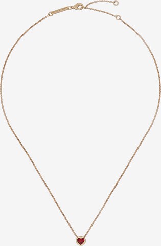 Ted Baker Necklace 'HARPARH' in Gold: front