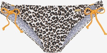 BUFFALO Bikini Bottoms 'Kitty' in White: front