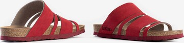 Bayton Pantofle 'Leiria' – červená