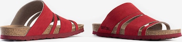 Mule 'Leiria' Bayton en rouge