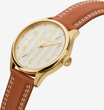 TIMBERLAND Analog Watch in Gold