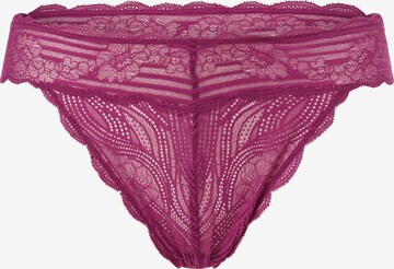 TRIUMPH Panty in Pink: front