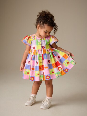 Next Dress in Mixed colors