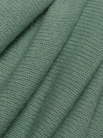 Brookshire Trui in Groen