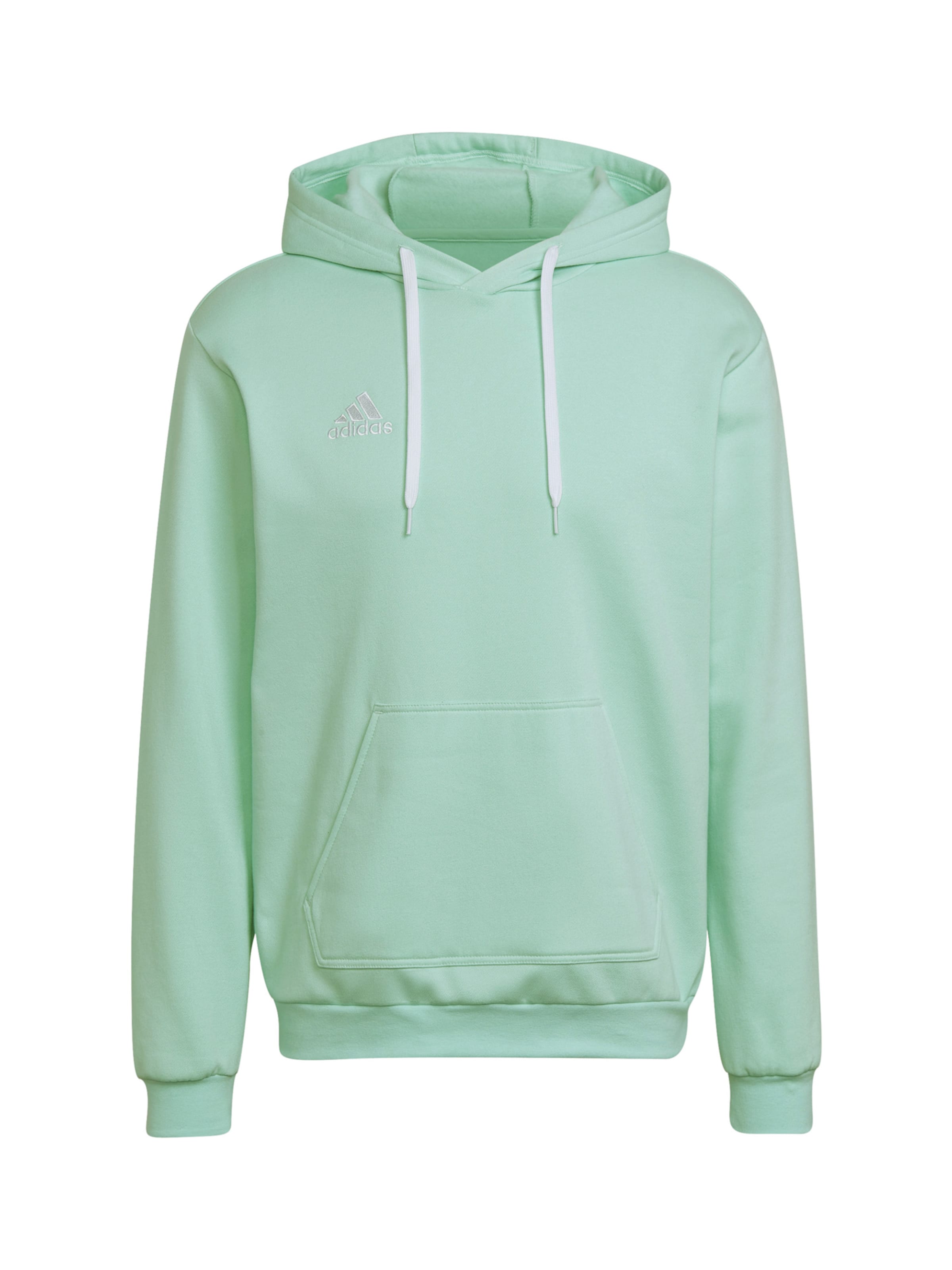 ADIDAS PERFORMANCE Sports sweatshirt 'Entrada 22' in Green: front