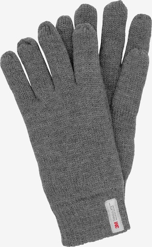 INDICODE JEANS Fingerhandschuhe 'Jason' in Grau: predná strana