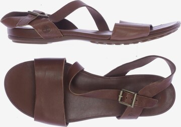 TIMBERLAND Sandals & High-Heeled Sandals in 39 in Brown: front