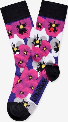 UNABUX Socks in Mixed colours: front