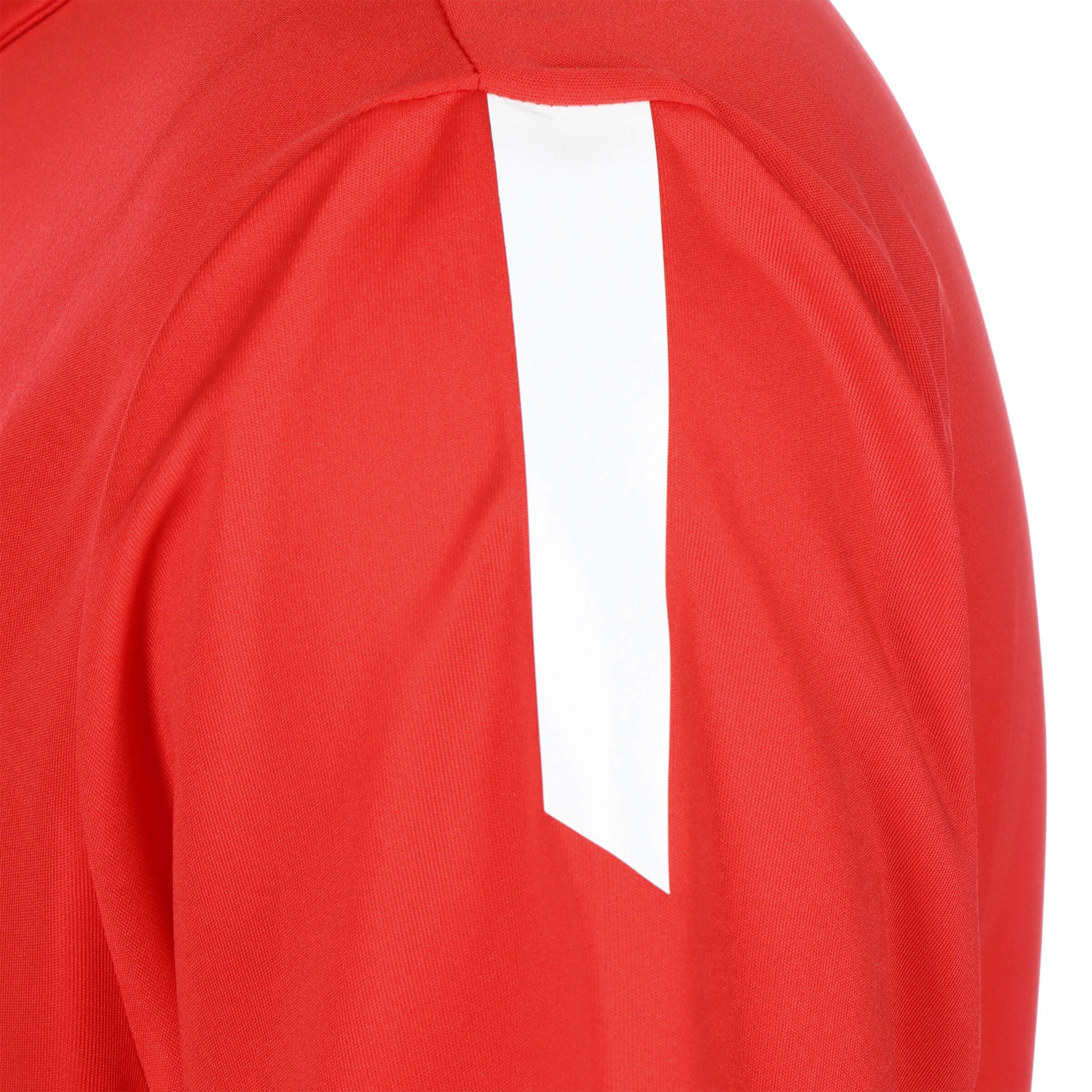 PUMA Funktionsshirt 'TeamLiga' in Rot