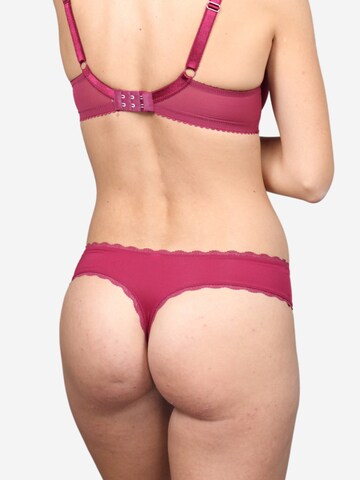 SugarShape String 'Pure' in Rood