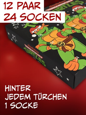Teenage Mutant Ninja Turtles Socken 'Adventskalender mit 12 Paar'‌‌ in Mischfarben