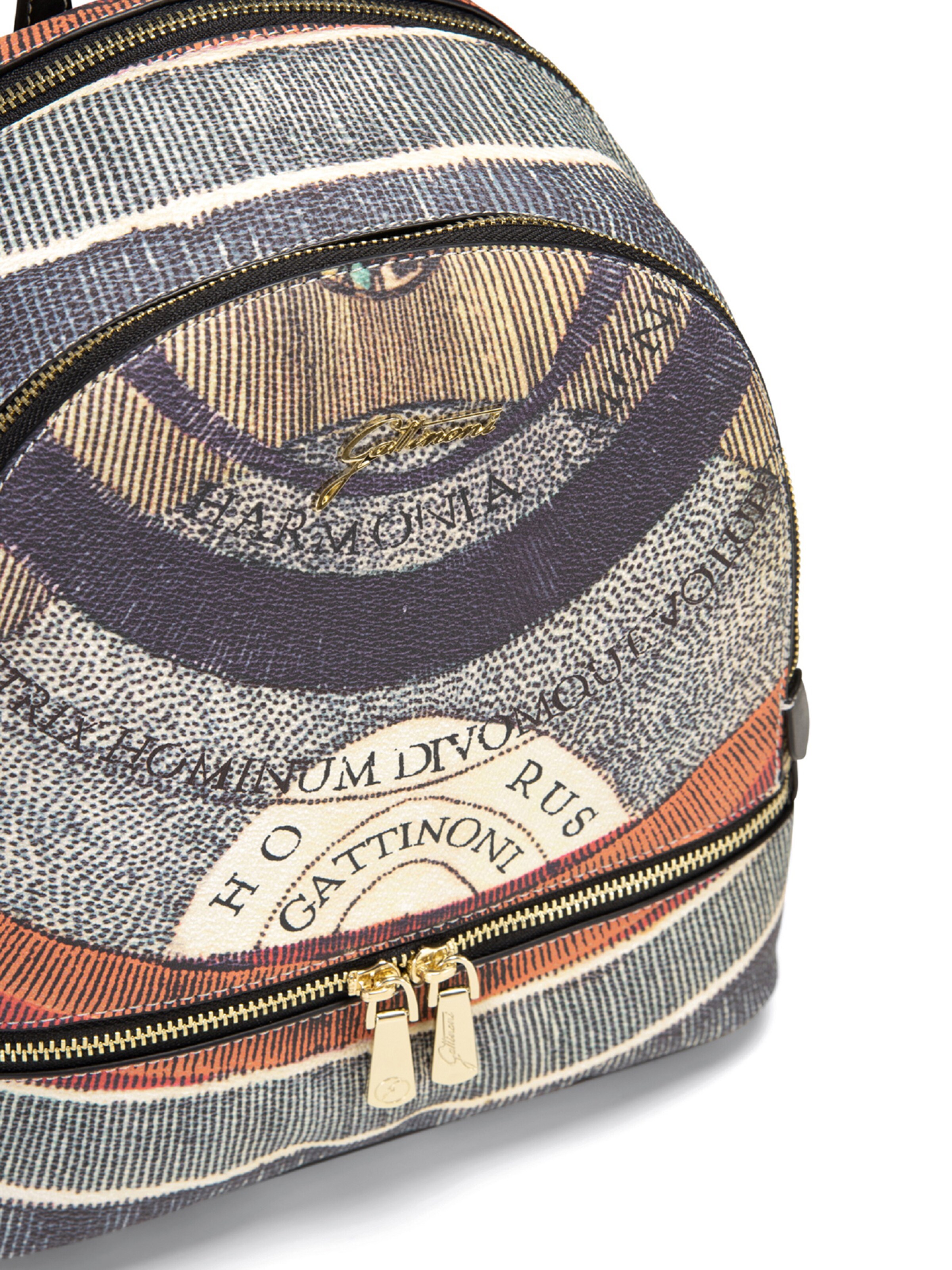 Gattinoni Backpack in Mixed colors