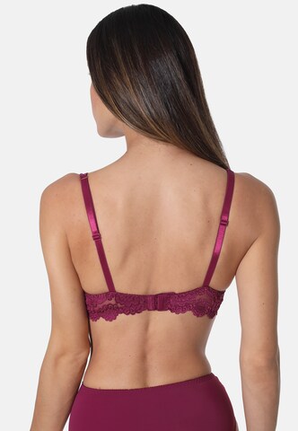 sassa Triangle Bra 'Sassa CLASSIC LACE' in Red