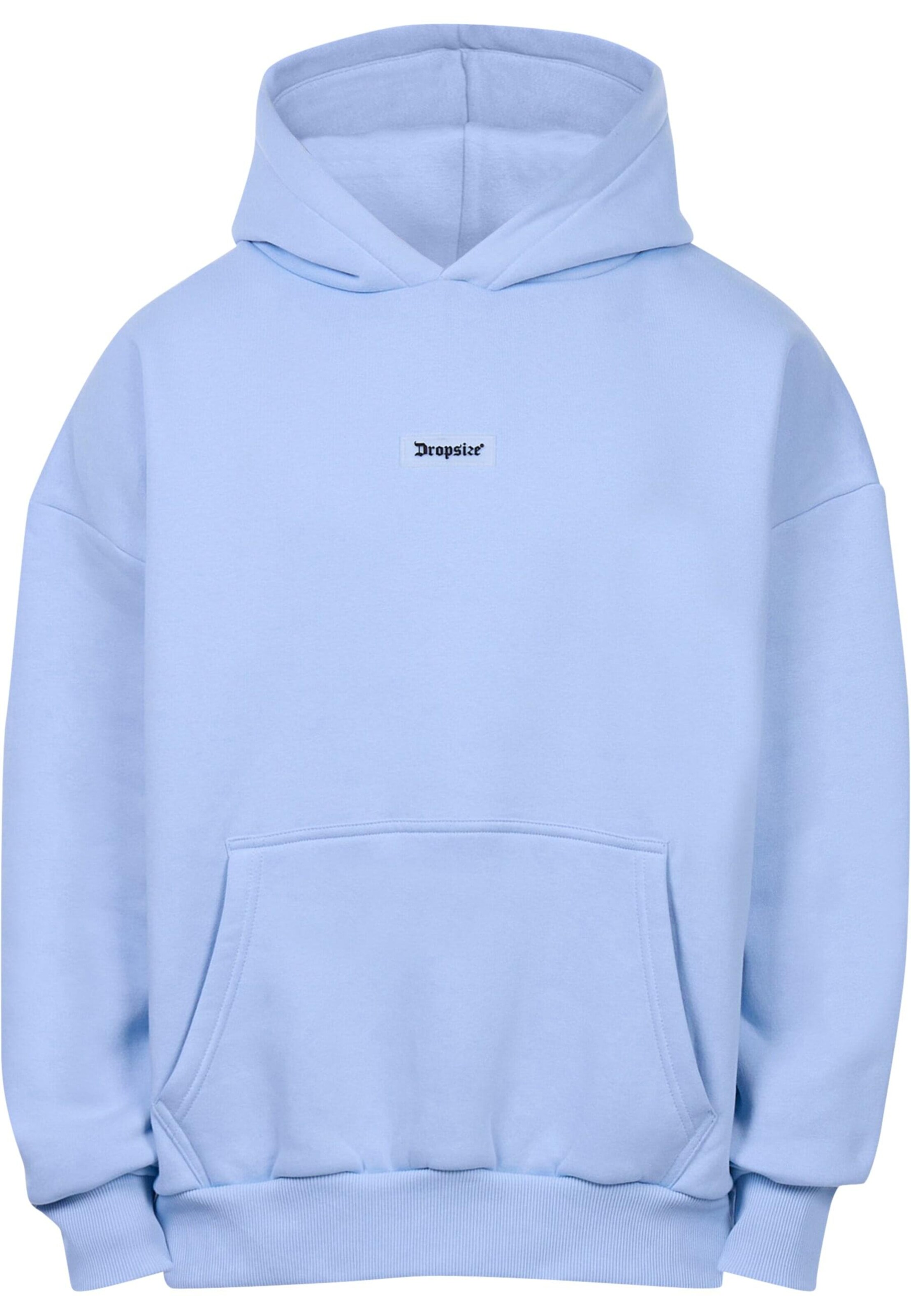 Dropsize Sweatshirt in Blue: front