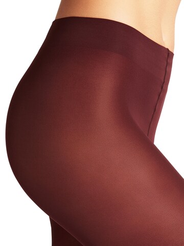FALKE Tights 'Pure Matt' in Red