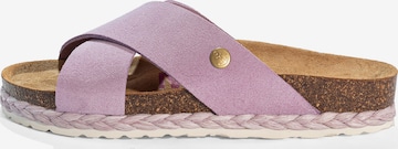 Bayton Pistokkaat värissä lila: etupuoli