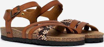 Bayton Strap Sandals 'Denia' in Brown